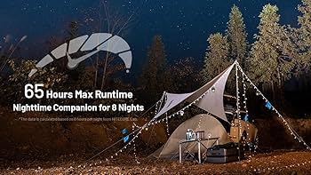 Amazon.com: NITECORE LR40 Multifunct al Rechargeable Camping